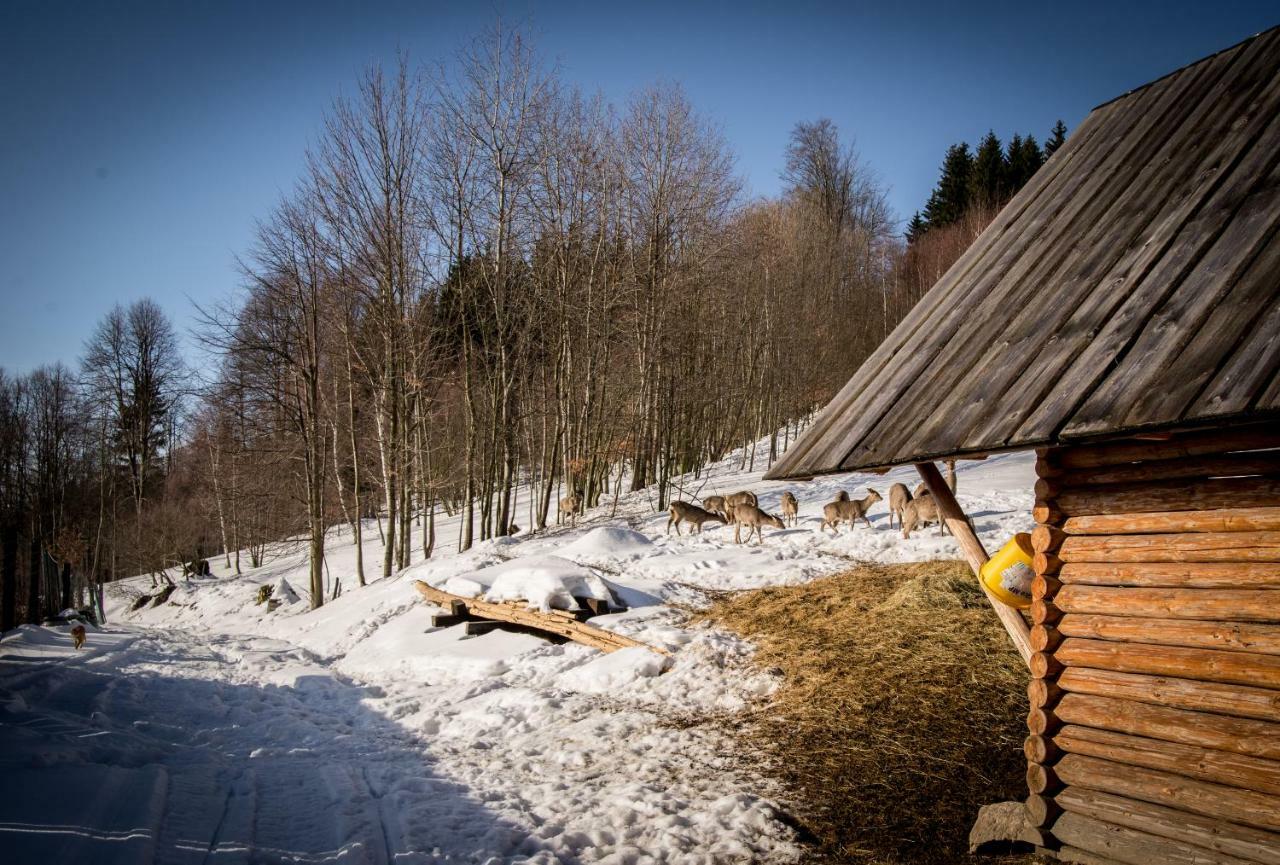 Apartamenty Romanowka Raszow Exteriör bild