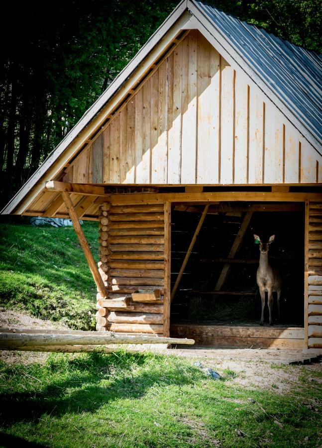 Apartamenty Romanowka Raszow Exteriör bild